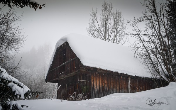 Cabane de berger au Corbier