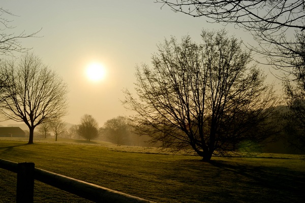 Brume matinale