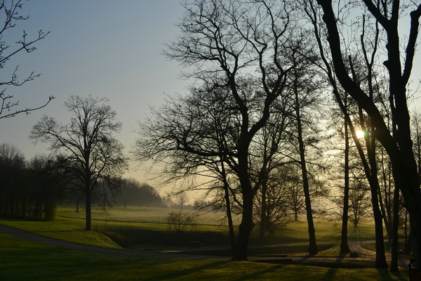 Brume matinale