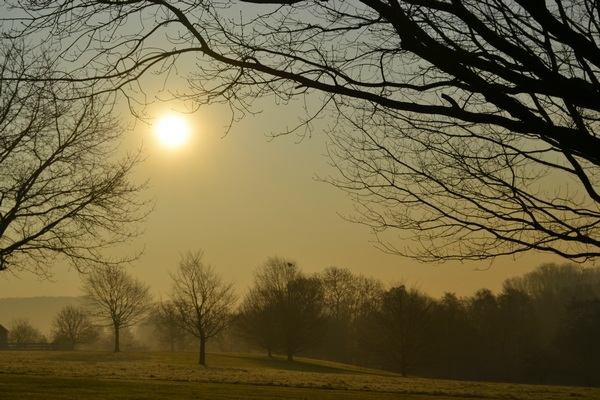 Brume matinale