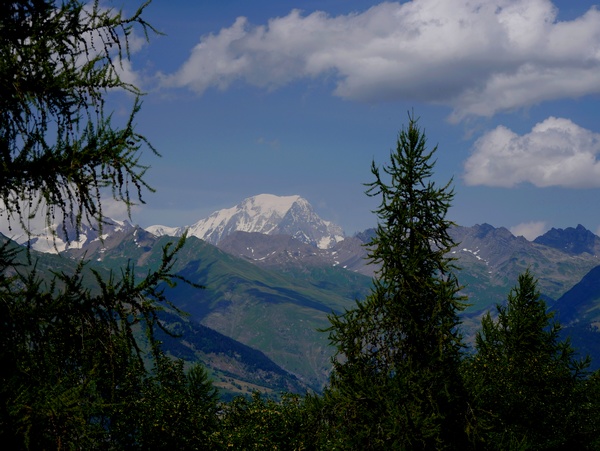 Vue Mont Blanc depuis Les Coches